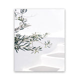 Shop Santorini Olive Branch Photo Art Print-Boho, Botanicals, Coastal, Greece, Green, Hamptons, Photography, Portrait, Tropical, View All, White-framed poster wall decor artwork