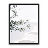 Shop Santorini Olive Branch Photo Canvas Art Print-Boho, Botanicals, Coastal, Greece, Green, Hamptons, Photography, Photography Canvas Prints, Portrait, Tropical, View All, White-framed wall decor artwork