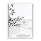 Shop Santorini Olive Branch Photo Canvas Art Print-Boho, Botanicals, Coastal, Greece, Green, Hamptons, Photography, Photography Canvas Prints, Portrait, Tropical, View All, White-framed wall decor artwork
