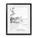 Shop Santorini Olive Branch Photo Art Print-Boho, Botanicals, Coastal, Greece, Green, Hamptons, Photography, Portrait, Tropical, View All, White-framed poster wall decor artwork