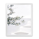 Shop Santorini Olive Branch Photo Art Print-Boho, Botanicals, Coastal, Greece, Green, Hamptons, Photography, Portrait, Tropical, View All, White-framed poster wall decor artwork