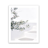 Shop Santorini Olive Branch Photo Art Print-Boho, Botanicals, Coastal, Greece, Green, Hamptons, Photography, Portrait, Tropical, View All, White-framed poster wall decor artwork