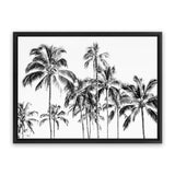 Shop Island Coconut Palms Photo Canvas Art Print-Black, Boho, Coastal, Landscape, Photography, Photography Canvas Prints, Tropical, View All, White-framed wall decor artwork