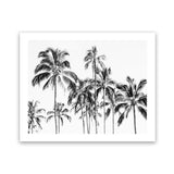 Shop Island Coconut Palms Photo Art Print-Black, Boho, Coastal, Landscape, Photography, Tropical, View All, White-framed poster wall decor artwork