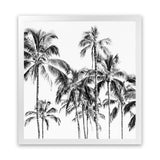 Shop Island Coconut Palms (Square) Photo Art Print-Black, Boho, Photography, Square, Tropical, View All, White-framed poster wall decor artwork