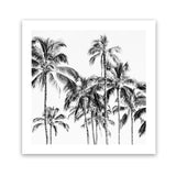 Shop Island Coconut Palms (Square) Photo Art Print-Black, Boho, Photography, Square, Tropical, View All, White-framed poster wall decor artwork
