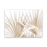 Shop Palm Fronds I Photo Canvas Art Print-Boho, Botanicals, Coastal, Hamptons, Landscape, Neutrals, Photography, Photography Canvas Prints, View All-framed wall decor artwork