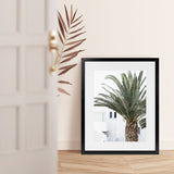 Shop Palm Courtyard Photo Art Print-Boho, Coastal, Greece, Green, Moroccan Days, Photography, Portrait, Tropical, View All-framed poster wall decor artwork