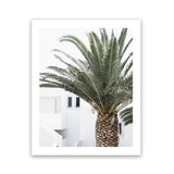 Shop Palm Courtyard Photo Art Print-Boho, Coastal, Greece, Green, Moroccan Days, Photography, Portrait, Tropical, View All-framed poster wall decor artwork