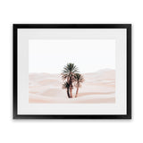 Shop Desert Palms I Photo Art Print-Horizontal, Landscape, Moroccan Days, Neutrals, Photography, Pink, Rectangle, Tropical, View All-framed poster wall decor artwork