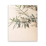 Shop Olive Branch Photo Art Print-Boho, Botanicals, Greece, Green, Neutrals, Orange, Photography, Portrait, View All-framed poster wall decor artwork