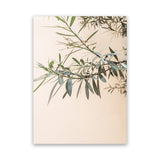 Shop Olive Branch Photo Canvas Art Print-Boho, Botanicals, Greece, Green, Neutrals, Orange, Photography, Photography Canvas Prints, Portrait, View All-framed wall decor artwork