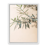 Shop Olive Branch Photo Canvas Art Print-Boho, Botanicals, Greece, Green, Neutrals, Orange, Photography, Photography Canvas Prints, Portrait, View All-framed wall decor artwork