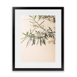 Shop Olive Branch Photo Art Print-Boho, Botanicals, Greece, Green, Neutrals, Orange, Photography, Portrait, View All-framed poster wall decor artwork