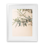 Shop Olive Branch Photo Art Print-Boho, Botanicals, Greece, Green, Neutrals, Orange, Photography, Portrait, View All-framed poster wall decor artwork
