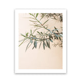 Shop Olive Branch Photo Art Print-Boho, Botanicals, Greece, Green, Neutrals, Orange, Photography, Portrait, View All-framed poster wall decor artwork