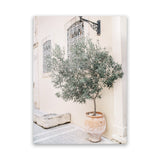Shop Mediterranean Villa Photo Canvas Art Print-Botanicals, Greece, Green, Neutrals, Photography, Photography Canvas Prints, Pink, Portrait, View All-framed wall decor artwork
