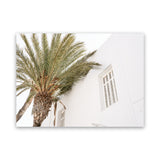 Shop Mykonos Palm Villa I Photo Canvas Art Print-Coastal, Greece, Green, Landscape, Moroccan Days, Neutrals, Photography, Photography Canvas Prints, Tropical, View All, White-framed wall decor artwork