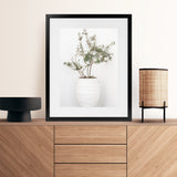 Shop Olive Tree Photo Art Print-Greece, Green, Photography, Portrait, View All, White-framed poster wall decor artwork