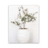 Shop Olive Tree Photo Art Print-Greece, Green, Photography, Portrait, View All, White-framed poster wall decor artwork