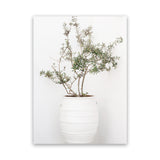 Shop Olive Tree Photo Canvas Art Print-Greece, Green, Photography, Photography Canvas Prints, Portrait, View All-framed wall decor artwork