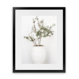 Shop Olive Tree Photo Art Print-Greece, Green, Photography, Portrait, View All, White-framed poster wall decor artwork