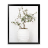 Shop Olive Tree Photo Art Print-Greece, Green, Photography, Portrait, View All, White-framed poster wall decor artwork