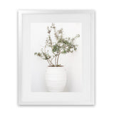 Shop Olive Tree Photo Art Print-Greece, Green, Photography, Portrait, View All, White-framed poster wall decor artwork