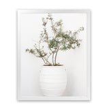Shop Olive Tree Photo Art Print-Greece, Green, Photography, Portrait, View All, White-framed poster wall decor artwork
