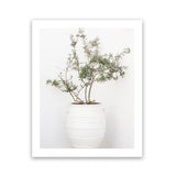 Shop Olive Tree Photo Art Print-Greece, Green, Photography, Portrait, View All, White-framed poster wall decor artwork