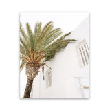 Shop Mykonos Palm Villa II Photo Art Print-Coastal, Greece, Green, Photography, Portrait, View All, White-framed poster wall decor artwork