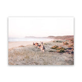 Shop Beach Kangaroos Photo Canvas Art Print-Animals, Horizontal, Landscape, Neutrals, Photography, Photography Canvas Prints, Rectangle, View All-framed wall decor artwork