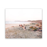 Shop Beach Kangaroos Photo Art Print-Animals, Horizontal, Neutrals, Photography, Rectangle, View All-framed poster wall decor artwork