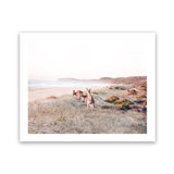 Shop Beach Kangaroos Photo Art Print-Animals, Horizontal, Neutrals, Photography, Rectangle, View All-framed poster wall decor artwork