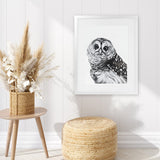 Shop Snow Owl Art Print-Animals, Birds, Black, Grey, Portrait, Rectangle, View All-framed painted poster wall decor artwork