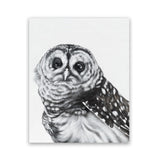 Shop Snow Owl Art Print-Animals, Birds, Black, Grey, Portrait, Rectangle, View All-framed painted poster wall decor artwork
