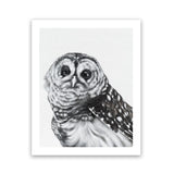 Shop Snow Owl Art Print-Animals, Birds, Black, Grey, Portrait, Rectangle, View All-framed painted poster wall decor artwork