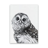Shop Snow Owl Canvas Art Print-Animals, Birds, Black, Grey, Portrait, Rectangle, View All-framed wall decor artwork