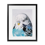 Shop Henry The Budgerigar Art Print-Animals, Birds, Blue, Portrait, Rectangle, View All-framed painted poster wall decor artwork