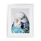 Shop Henry The Budgerigar Art Print-Animals, Birds, Blue, Portrait, Rectangle, View All-framed painted poster wall decor artwork