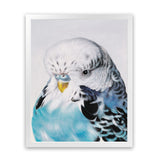Shop Henry The Budgerigar Art Print-Animals, Birds, Blue, Portrait, Rectangle, View All-framed painted poster wall decor artwork