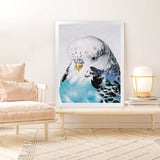Shop Henry The Budgerigar Art Print-Animals, Birds, Blue, Portrait, Rectangle, View All-framed painted poster wall decor artwork