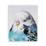 Shop Henry The Budgerigar Art Print-Animals, Birds, Blue, Portrait, Rectangle, View All-framed painted poster wall decor artwork