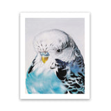 Shop Henry The Budgerigar Art Print-Animals, Birds, Blue, Portrait, Rectangle, View All-framed painted poster wall decor artwork