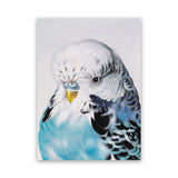 Shop Henry The Budgerigar Canvas Art Print-Animals, Birds, Blue, Portrait, Rectangle, View All-framed wall decor artwork