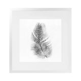 Shop Feather (Square) Art Print-Birds, Grey, Hamptons, Scandinavian, Square, View All, White-framed painted poster wall decor artwork