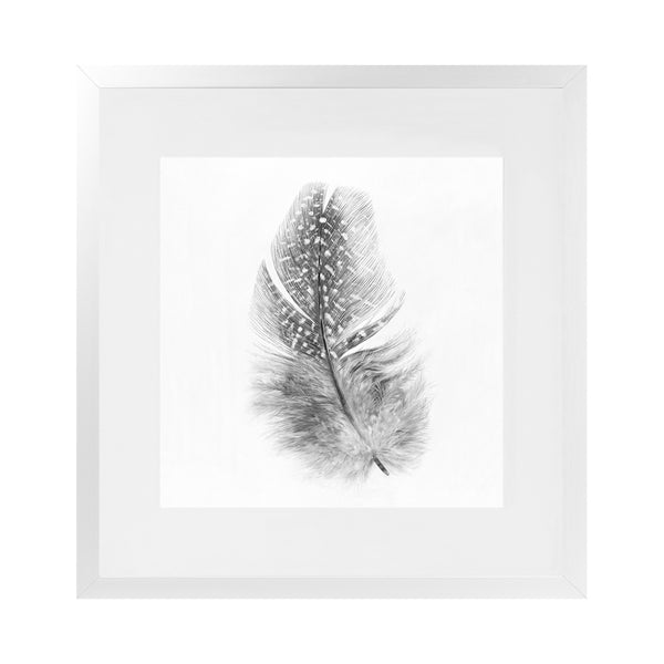 Shop Feather (Square) Art Print-Birds, Grey, Hamptons, Scandinavian, Square, View All, White-framed painted poster wall decor artwork