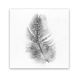 Shop Feather (Square) Art Print-Birds, Grey, Hamptons, Scandinavian, Square, View All, White-framed painted poster wall decor artwork