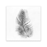 Shop Feather (Square) Canvas Art Print-Birds, Grey, Scandinavian, Square, View All, White-framed wall decor artwork