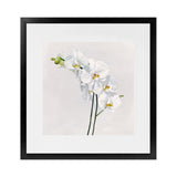 Shop White Orchid Stems (Square) Art Print-Botanicals, Florals, Hamptons, Neutrals, Square, View All, White-framed painted poster wall decor artwork